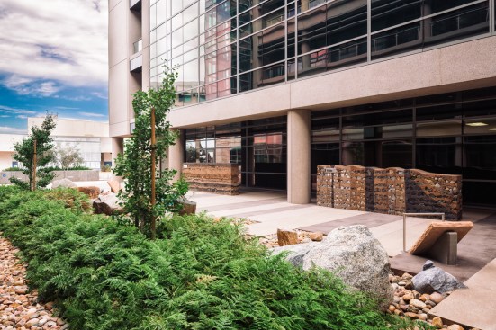 San Diego Mesa College Math + Science Complex with landscape design by Wimmer Yamada and Caughey: Orchid, landscape architecture.