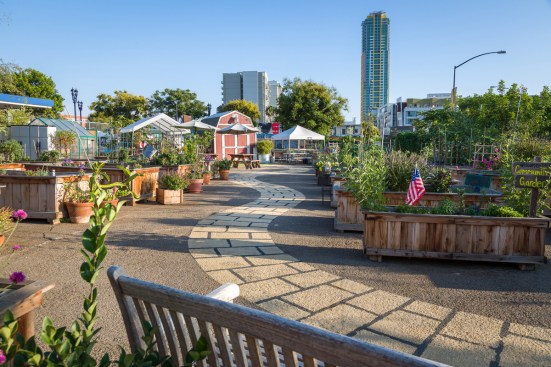 Smarts Farm, designed by Humane Smarts: Orchid, miscellaneous.