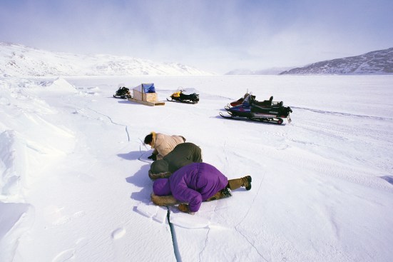 Looking for mussels under the ice after the tide has gone out, Kangiqsujuaq, Quebec.
