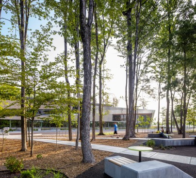 Forested Parking Garden