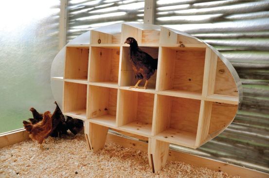 Inside, shadows and natural light fall onto an egg-shaped nesting box.