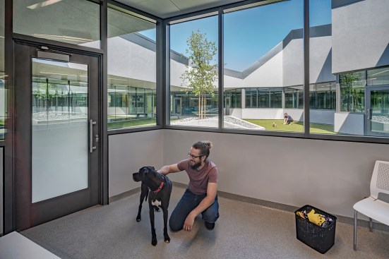 Three Get Acquainted rooms - one adjacent to each dog dorm - have low walls to block views for dogs while visiting with potential adoptable owners. These rooms surround The Park and have direct access when dogs are ready to socialize in the larger area.