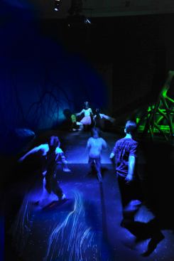This interactive environment introduces visitors to the brilliant light displays of Mosquito Bay on Vieques Island in Puerto Rico, where high concentrations of microscopic dinoflagellates create a glowing halo around anything that moves through the water.