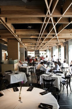 Spontino - Serrano Monjaraz Arquitectos