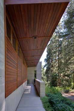 Natural materials—mahogany, concrete, and glass—blend into the setting.