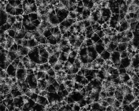 ' Process 7' by C.E.B. Reas, 2010 (detail); multimedia