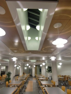 Skylights in Dining Room