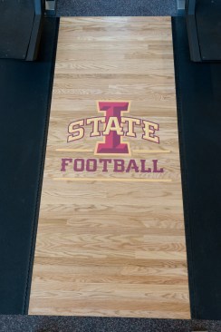 Iowa State University: Detail
