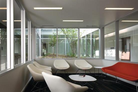 The faculty lounge is also located on the third floor, next to the enclosed garden. Growing in the garden are two specially bred witch hazel trees, which bloom in late January. When students return for the spring semester, the vibrant orange and lime green blooms provide a respite from the snow-covered Ohio winter.