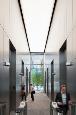 Elevator core with view out to birch trees in ground-floor plaza