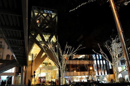 Tod’s Omotesando Building, Shibuya, Tokyo.
