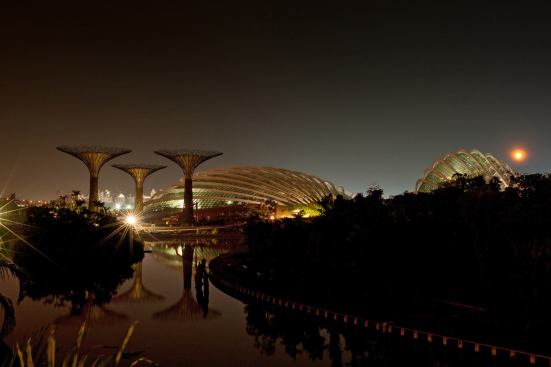 View of Bay South Gardens at night.