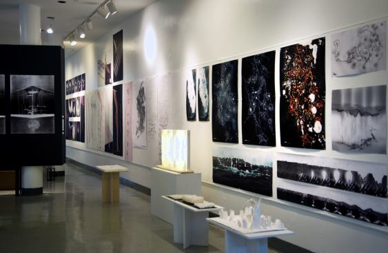 A selection of M. Arch II works on display in the gallery.