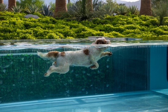 Serenity Indian Wells luxury modern home swimming pool floating glass bridge