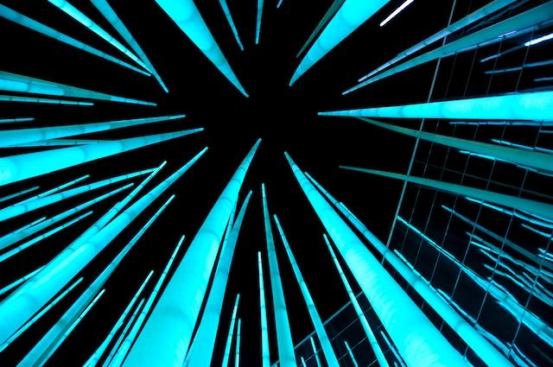 Standing within the illuminated grove at night