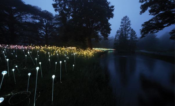 A view of Field of Light.