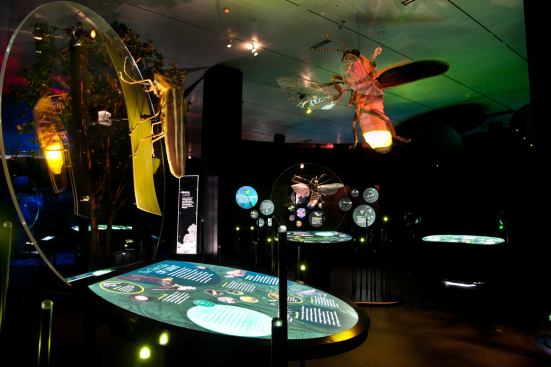 This section of the exhibition evokes an evening lit by fireflies, all signaling to one another in their species-specific “language of light.”
