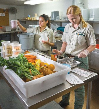 Most animal support spaces, such as food preparation, are housed on the cellar level.