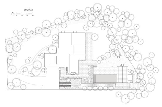 New paths, trees, and plantings reinforce the pavilion’s geometry.