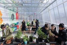 Students inside the greenhouse.