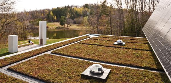 A draught-tolerant green roof helps insulate.