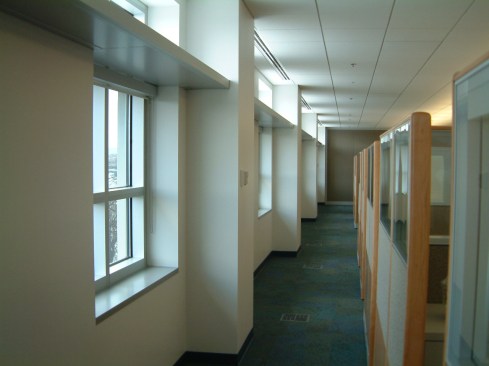 Natural light bathes the general work area