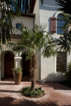 Paseo%3b+Dallas%2c+TX