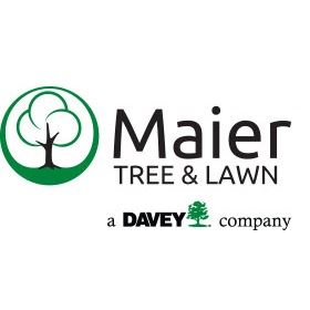 Maier Tree Lawn