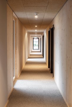 hotel room corridor / All public zones have natural daylight.