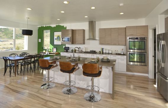 Customer surveys have shown that buyers are enticed by green features and super-low energy bills but that they fall in love with the company's less-is-more design.