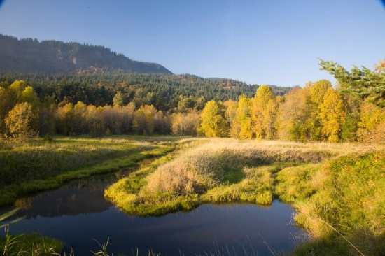 The Shire, Columbia River Gorge