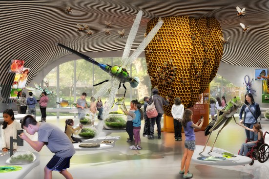 A rendering of the Insectarium on the first floor of the Gilder Center.