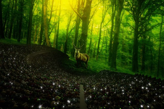 Audiences will be immersed in multi-sensory environments that can be as vast as the ocean or as deep as the forest.
