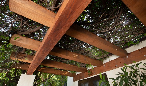 Redwood timbers were chosen for their natural resistance to decay and termites, and ability to weather naturally without the need for stains or sealants. The health of the trumpet vines was of particular importance to the homeowners. 