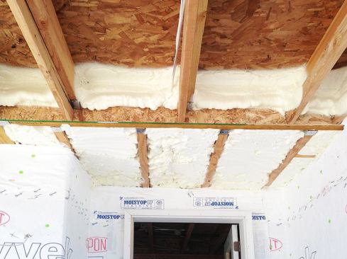 The home is well insulated with spray foam on critical areas such as rim joists, heel trusses, and cantilevers.