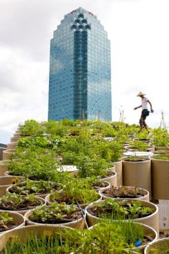 "P.F.1. (Public Farm One)" by Work Architecture Company (2008).