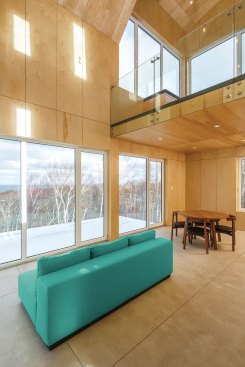 Slit windows cut into Rabbit Snare’s elevations further emphasize its verticality.