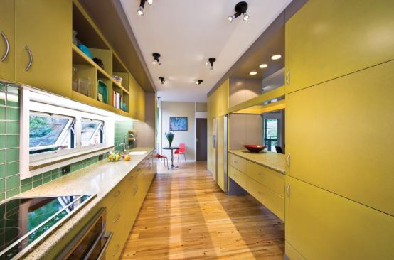 The kitchen cabinets are zero-VOC MDF made from recycled wood. Counters are recycled glass in a high-fly ash matrix.
