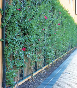 McNichols’ Eco-Mesh System is a modular framework grid that can be used to create a green wall. Made from 16-gauge metal, the free-standing fencing panels are available from 2 feet wide to 6 feet wide and up to 12 feet in length. Finish options include zinc-coated galvanized steel in 12 standard, powder coated colors. 
www.mcnichols.com.