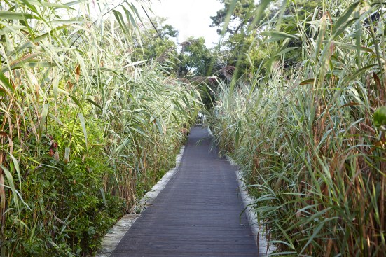 New walkway