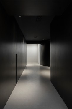 corridor for vip only