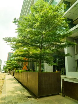 DSE Tower Front Perspective