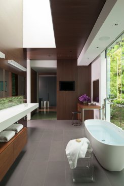 Luxury spa style bathroom with skylight and garden view from the soaking tub.