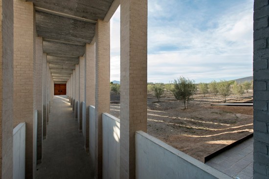 Viñedo de Cote - Serrano Monjaraz Arquitectos