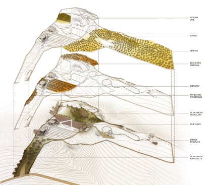 Vegetation diagram