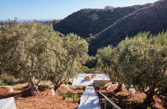 Steps and landscape pathways provide access to distant parts of the steep site and their uninterrupted coastal views.