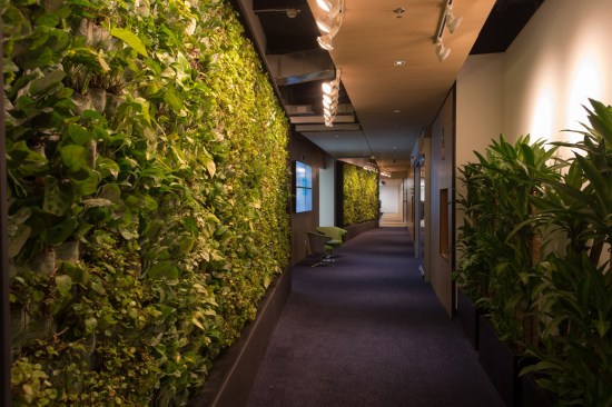 AXA QBO - Serrano Monjaraz Arquitectos