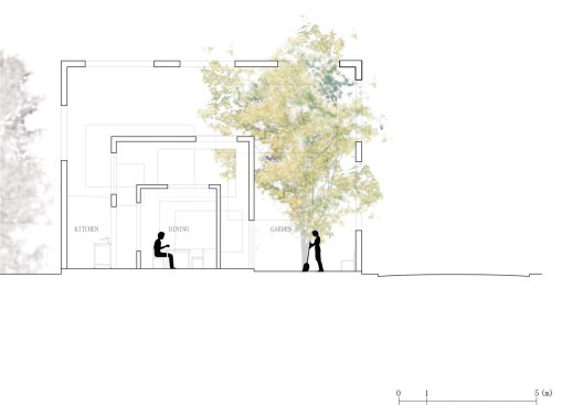 Section.