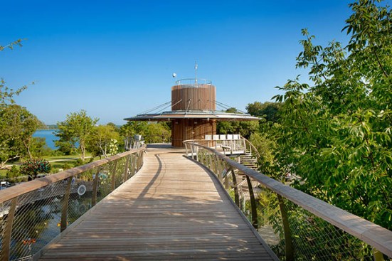 The+Texas+Skywalk+traverses+the+Garden+and+sloped+site+by+carrying+visitors+over+the+tree+canopy.+The+tower+terminus+features+photovoltaic+panels.+