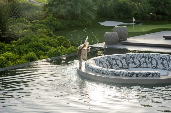 Serenity Indian Wells luxury modern desert home backyard swimming pool sunken seating